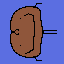 ham bails
