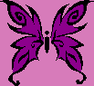 mariposa lila