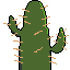 cactus 1