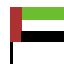 uae flag