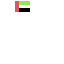 uae flag