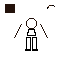 rough flat anatomy