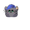 gatinhu