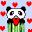 cute panda
