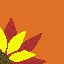 sunflowa