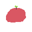healthy food 1