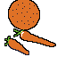 oranges