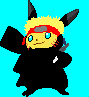 pica ninja