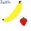 josh 3h ict fruits