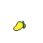 mango fruit