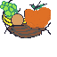 fruit basket
