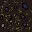 gras