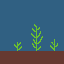 jespers seaweed