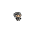 chevalier