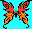 mariposa roja y naranja