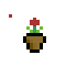 꽃