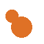 inicio bird