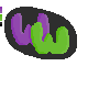 ww