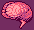 brain
