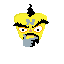 neo cortex