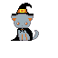 halloween cat