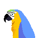 parrot