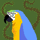 parrot
