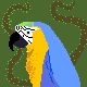 parrot