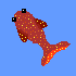 koi