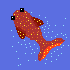 koi