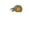 bird