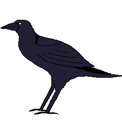 crow