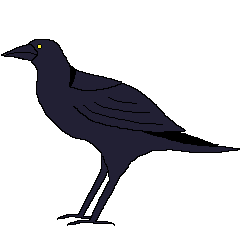 crow
