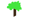 not a tree