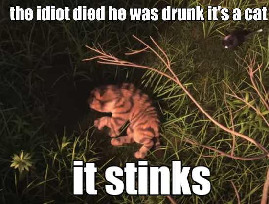you think it s a jerk cat