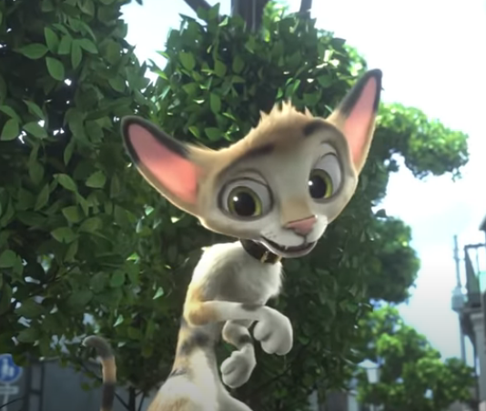 this cat has big eyes
