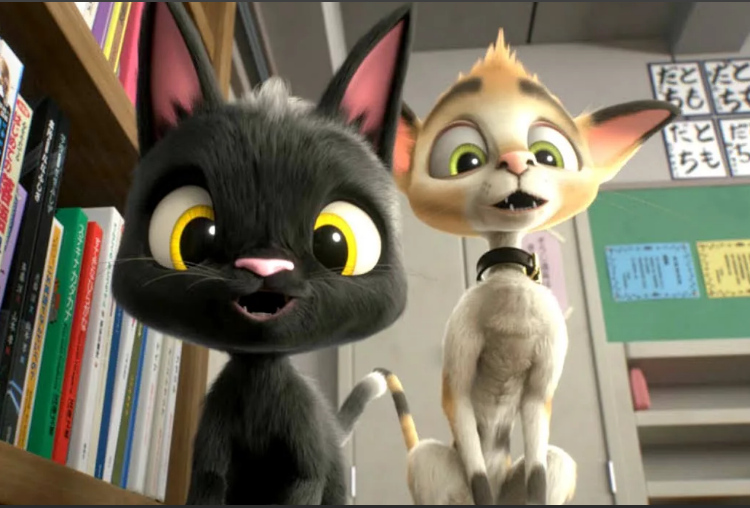 it s not popular it s just pictures cats