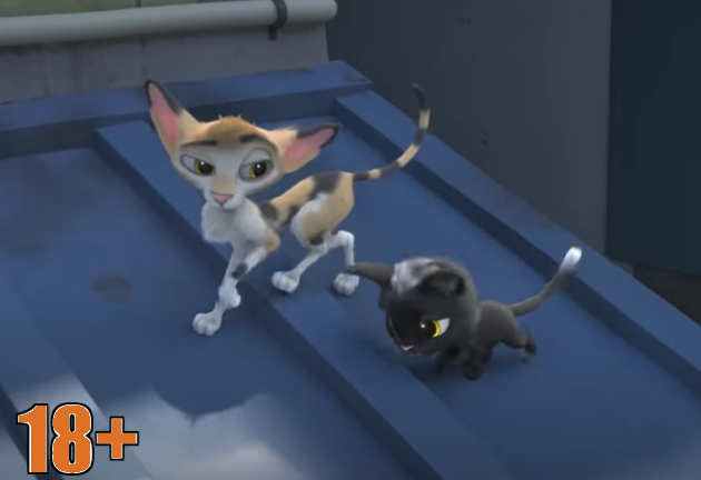 rudolph s cat 18