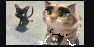 rudolph s cat 18