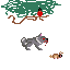 animal models