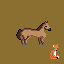 animal models 2