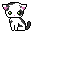 catty 2