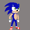 sa1 sonic