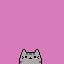 pusheen 4 life