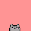 pusheen 5 life