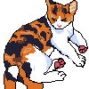 kami