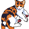 kami