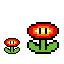 fire flowers