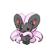 cinccino