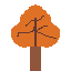 autumn tree